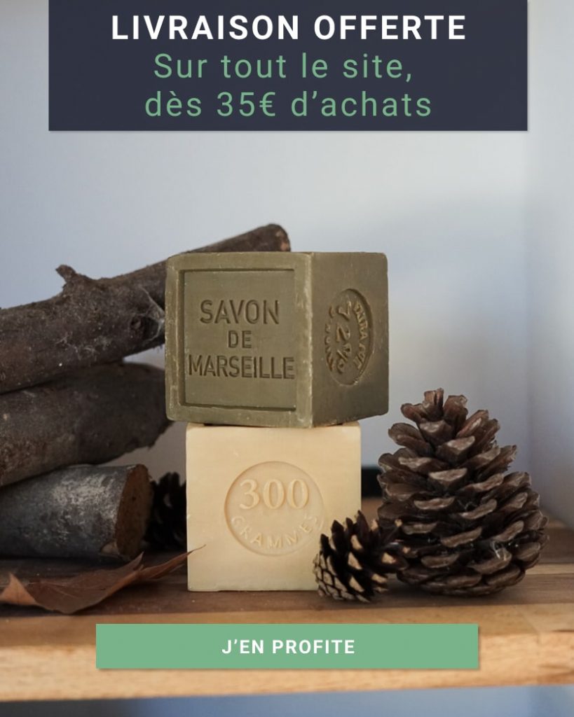 Mobile - Livraison 43-min